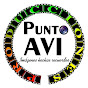 Punto AVI Producciones