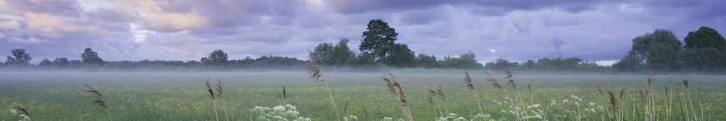 European Environmental Bureau 