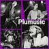 PLUMUSIC