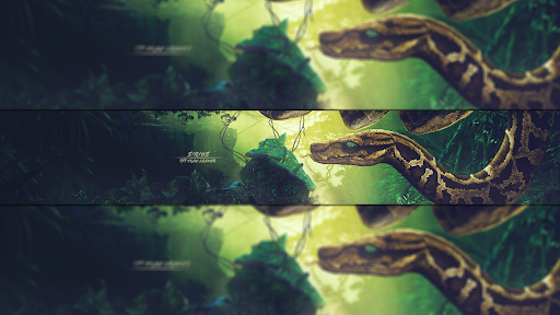 Sirius banner