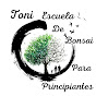 Escuela de Bonsái para principiantes (toni)