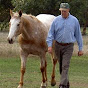 Norm Glenn Horsemanship