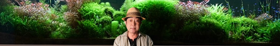 【懶人水草】懶人缸生態水草造景工作室