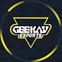 Geekay Esports