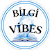 Bilgivibes