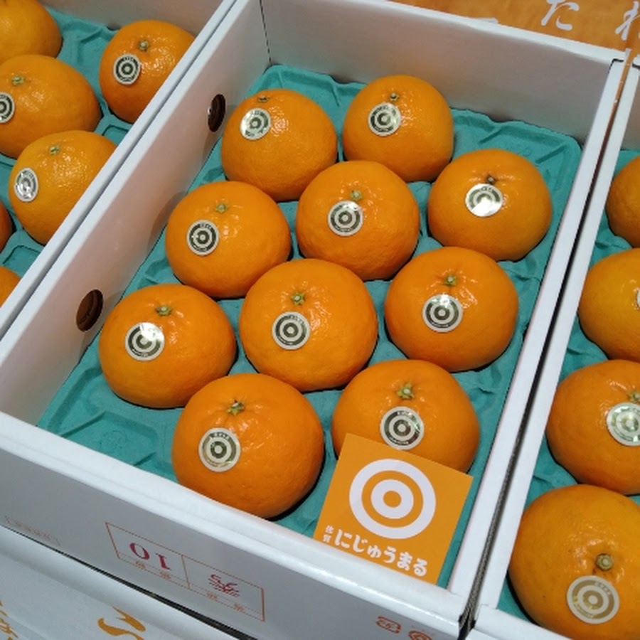 もちみかん様 専用ページ - メルカリ