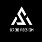 Serene Vibes EDM