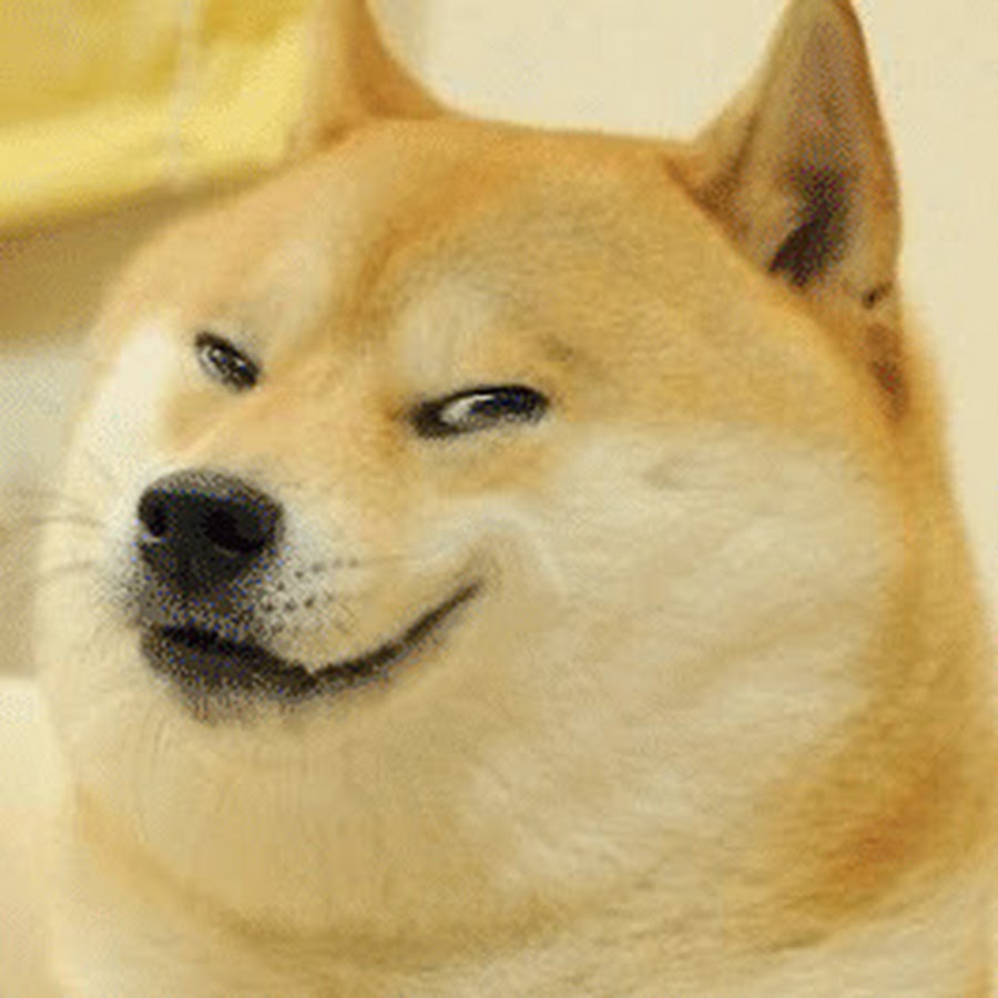 Doge steam profile фото 110