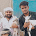 SOHAIL GOAT FARM HYDERABAD