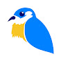 Bluebird Running Company