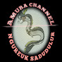 amuba channel