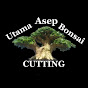 UtamaAsep Bonsai Cutting