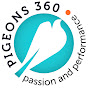 Narcis Afrasinei - pigeons360.com