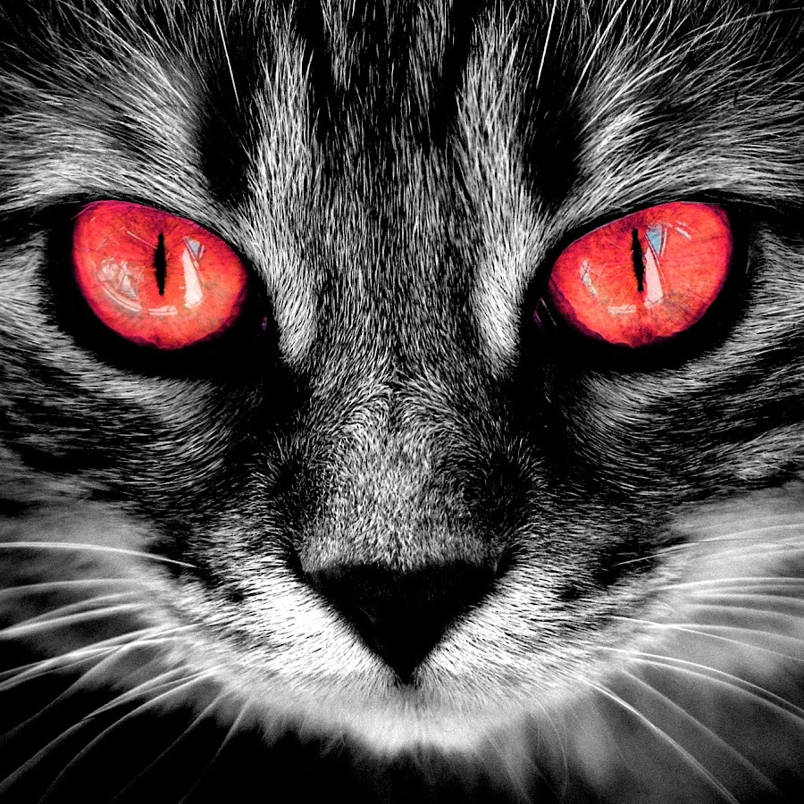 Красный кошачий глаз