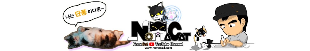 noma cat