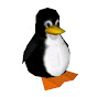 Tux Ricing