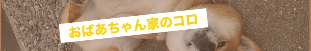 おばあちゃん家のコロ