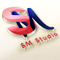 S M STUDIO SIKAR