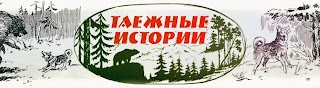 Таежные истории. Таежные истории логотип. Эмблема Таёжная. Логотип магазина Таёжный.