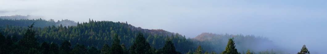 植木屋やっちゃん・秋元園芸