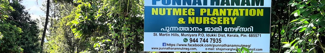 Punnathanam nutmeg plantation & nursery