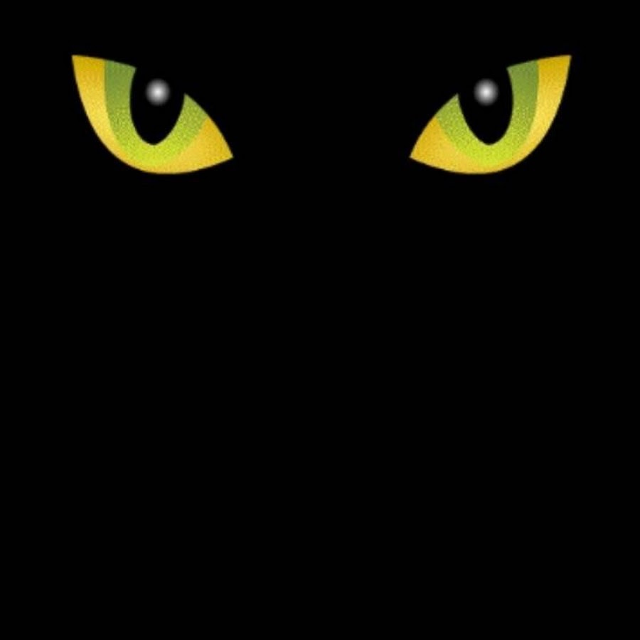 Аватар черный кот. Кошачьи глаза в темноте. Кошачьи глаза на черном фоне. Кошачий глаз. Кот с черными глазами.