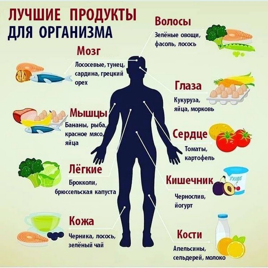 Витамины для мужчин в продуктах. Полезная еда для организма. Полезные продукты. Самые полезные продукты. Полезные продукты для здоровья.