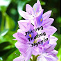 Thương Thương Nguyễn