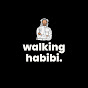 Walking Habibi