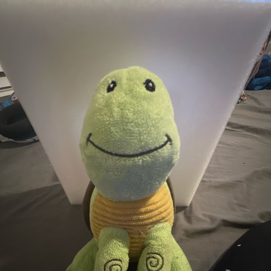 Cactusanimation youtube