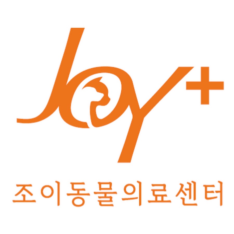 조이동물의료센터 - YouTube 조이동물의료센터