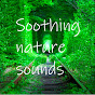 soothing nature sounds