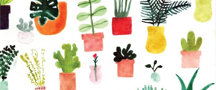 Artist Thumbnail