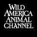 Wild America Animal Channel