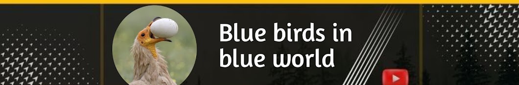 Blue bird's in blue world 