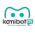 Kamibot Pi