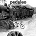 PEDALEO🚴‍♂️