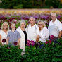 Swan Island Dahlias