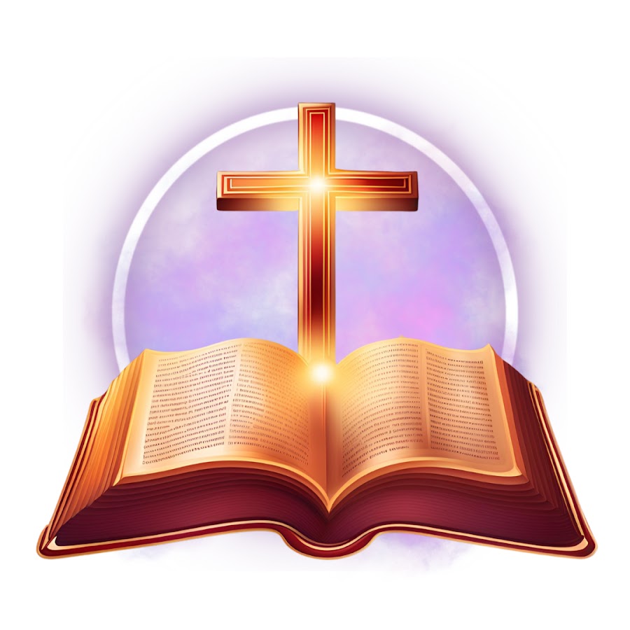 Todo Dia A Biblia