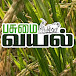 பசுமைவயல்