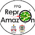 PPG ReproAmazon