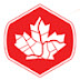 logo GoGeomatics Canada