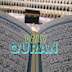 Daily Quran