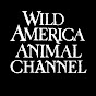 Wild America Animal Channel