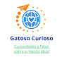 Gatoso Curioso