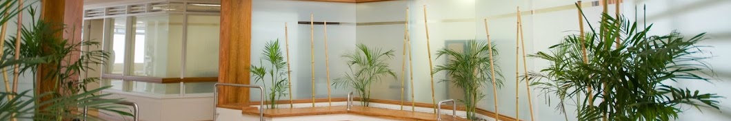 Clínica Bamboo