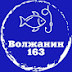 logo Волжанин163