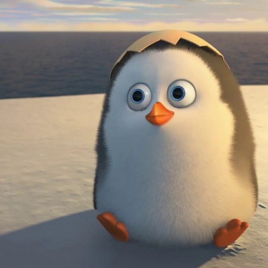 Самый смешной Пингвин