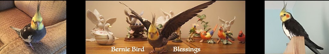 Bernie Bird Blessings