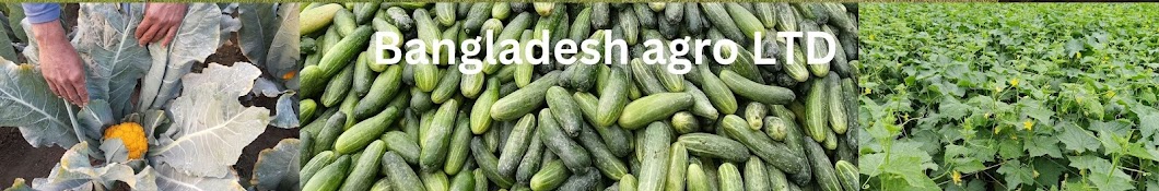 Bangladesh Agro LTD